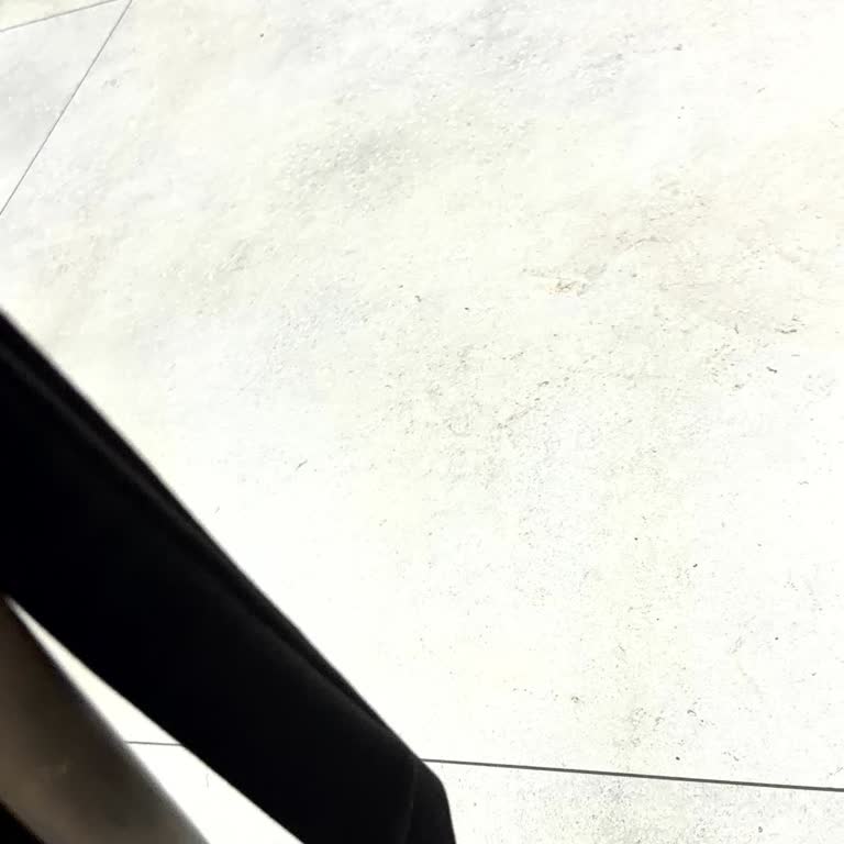 Şifre Unutma Ve Telefon Değişikliği Sonrası Erişim Sorunu, 1000 TL Bakiyenin Açıklanması