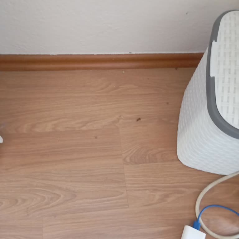 Philips 6000 Dikey Süpürge Tozları Tekrar Çıkarıyor Ve Kullanılamaz