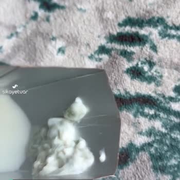Dost Yarım Yağlı Sütün İçinden Çıkan Bilinmeyen Yeşil Mukus Bir Madde