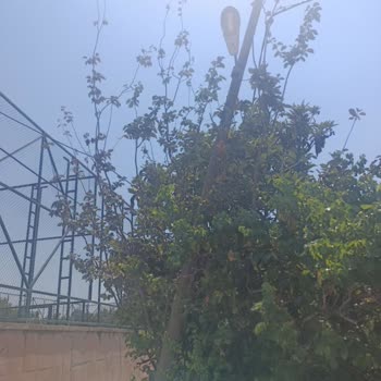 Yan Yatan Elektrik Direği Değiştirilmediği İçin Sokak Karanlıkta Ve Güvensiz