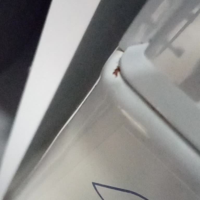 Profilo Çamaşır Makinesinde Garanti Süresi İçinde Paslanma Sorunu