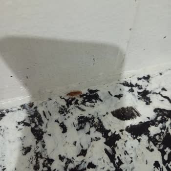 Gardan Hotel Isınma Probleminin Giderilmeden Misafir Kabul Edilmesi ve Mutfakta Böcek Olması