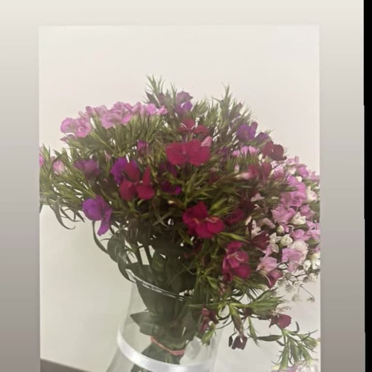 Seçtiğim Çiçekle Gelen Çiçek Arasındaki Uyuşmazlık Ve Cevapsız Müşteri Hizmeti