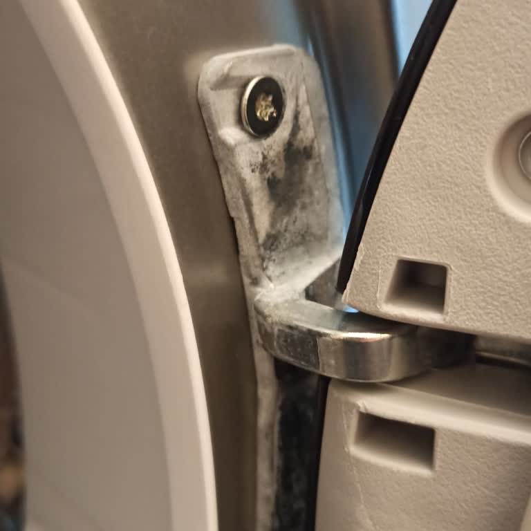 Krom Kapak Menteşesi Soyulması Garanti Dışında Bırakıldı