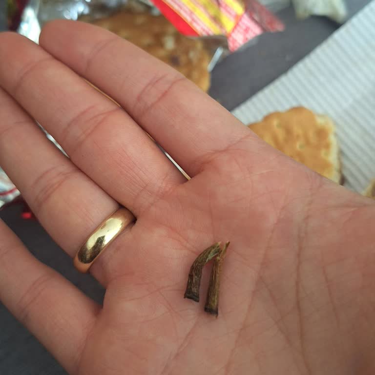 Ülker Çokoprens Bisküvi İçinde Yabancı Çalı Parçası