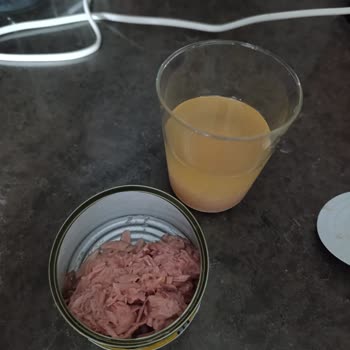 Fide Ton Balığı Konservesinde Balık Miktarı Yarıya Düşmüş, Yağ Oranı Aşırı