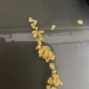 Duru Pilavlık Bulgurunda Örümcek Ağı Tespiti Sağlık Riski Oluşturuyor