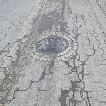 Ataşehir’de Çöp Toplama Aracının Sokağa Dökmesi Ve Hijyen Sorunu