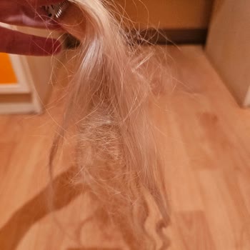 “%100 Gerçek İnsan Saçı” İddiası Yanıltıcı: Saçlar Dolaşarak Kırıldı