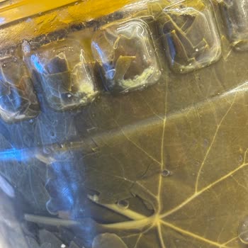 Son Kullanma Tarihi Geçmemiş Olsa Da Küflü Asma Yaprağı