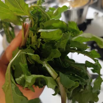 Migros Hemen Siparişimde Eksik Ve Çürük Ürünler