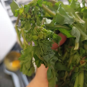 Migros Hemen Siparişimde Eksik Ve Çürük Ürünler