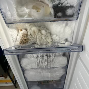 Samsung Derin Dondurucuda Aşırı Buzlanma Ve Kapak Açma Sorunu