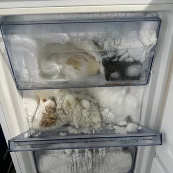 Samsung Derin Dondurucuda Aşırı Buzlanma Ve Kapak Açma Sorunu