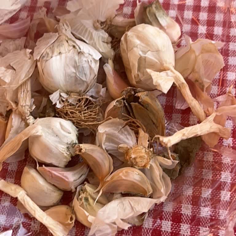 İftar Hazırlığında Küflü Organik Sarımsak Teslimi