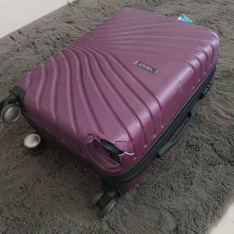 Ajet Lost 4 Cabin Bags Cologne Riyadh - Compensation Claim