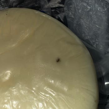 Kebir Kaşar Peynirinde Ölü Sinek Bulunması Ve İade Talebi