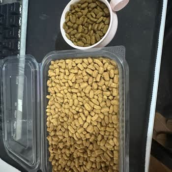 Hepsiburada’da Orijinal Olmayan Pro Plan Kedi Maması Satışı ve İade Talebi