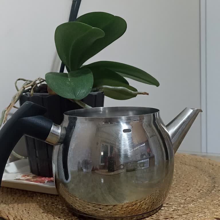 Karaca Züccaciye Temizlik Sonrası Damlatma Yapması Beni Hayal Kırıklığına Uğrattı