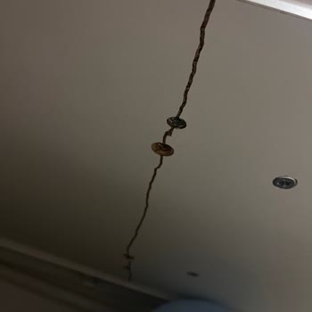 İkiye Ayrılan Puf İçin Ücretsiz Değişim Talebi