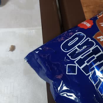 Şok Market Amigo Çekirdeğinde Tehlikeli Yabancı Cisim Bulundu