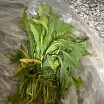 Çürük Ve Kurumuş Ürünler Nedeniyle Otomatik İade Reddi Ve Yeni Kullanıcı Zorunluluğu