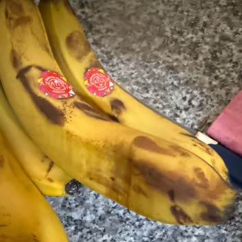 Çürük Ve Kurumuş Ürünler Nedeniyle Otomatik İade Reddi Ve Yeni Kullanıcı Zorunluluğu