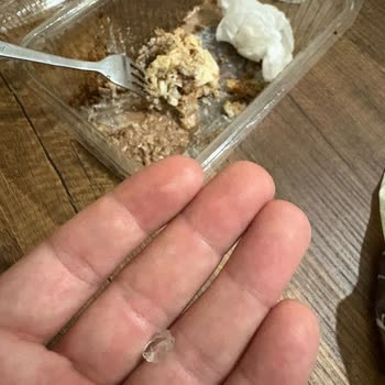 Eskişehir Erenköy Ala Fırın’da Satılan Baklava İçinde Cam Parçası Tespit Edildi