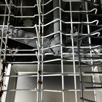 Beko Bulaşık Makinesinde Sepet Paslanması Ve Yüksek Parça Maliyeti