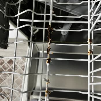 Beko Bulaşık Makinesinde Sepet Paslanması Ve Yüksek Parça Maliyeti