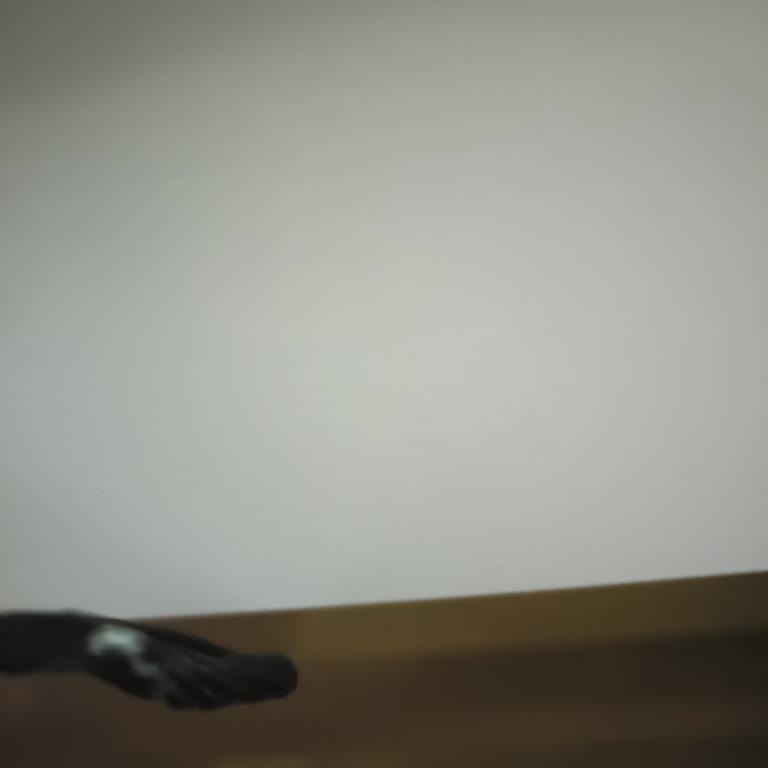 Meyer Gaming Mouse Bağlantı Kesintisi Ve Kablo Şişmesi İade Talebi