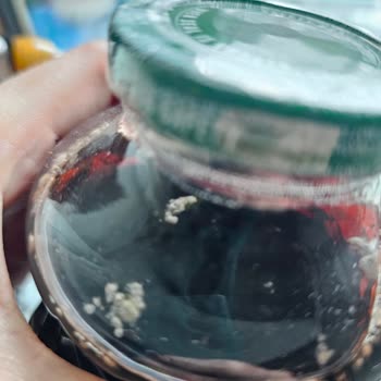 Organic Meyve Suyunda Açılmamış Şişede Küf Ve Şirketten Cevap Bekleniyor