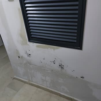 Altıntaş Management Group Site Yönetimi Sıkıntılı!