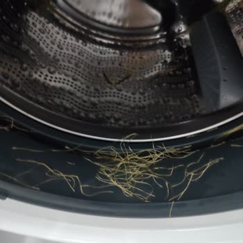 Bosch Çamaşır Makinesi Yırtma Sorunu Ve Perde Püskülleri