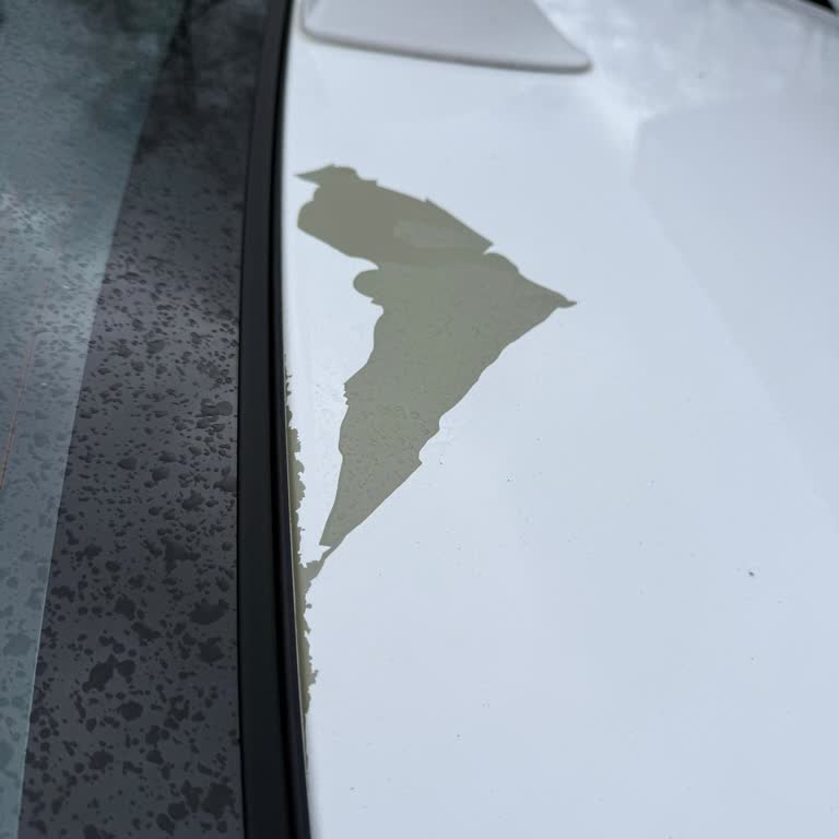 Hyundai Elantra’da Kaput Ve Tavan Boya Atması Ücretsiz Onarım Talebi