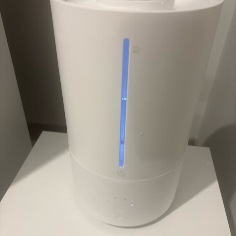 Xiaomi Nemlendiricide Vızıldama Ve Pembe Lekeler İçin Teknik İnceleme Ve Değişim Talebi