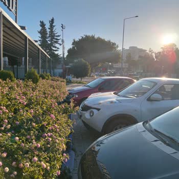 Özel Mülk Park Cezası: Bir Yıllık Kullanıma Sonra Martı’yı Haksız Yere Suçluyor