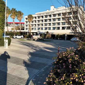 Özel Mülk Park Cezası: Bir Yıllık Kullanıma Sonra Martı’yı Haksız Yere Suçluyor