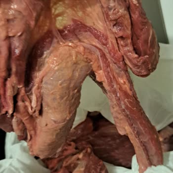 Купер привезли Товар Ненадоежвшего Качества