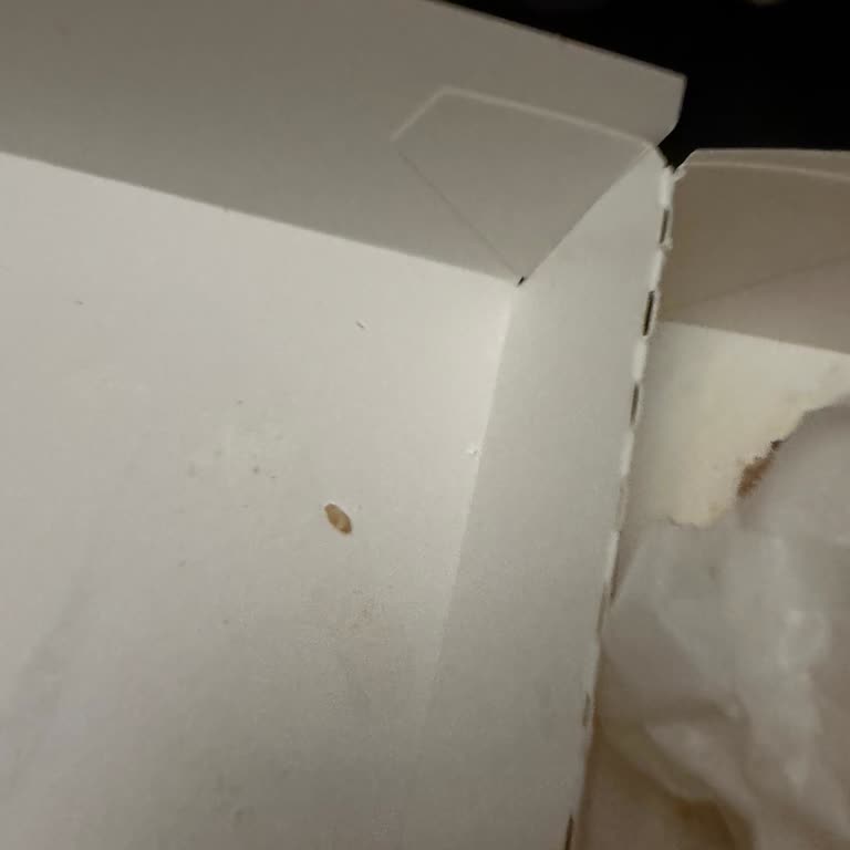 Hamburgerde Kemik Parçaları Dişi Acıttı, Sağlık Riski Ve Güven Kırıldı