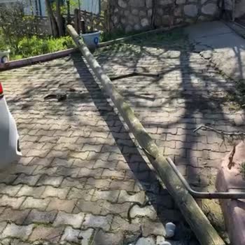 Türk Telekom'un Devrilen Telefon Direği Bahçemde Güvenlik Riski Oluşturuyor