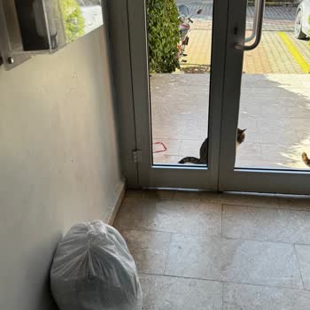 Kuryenin Ağır Paketi Kapıya Bırakmayı Reddetmesi Ve Müşteriyi Zorlaması