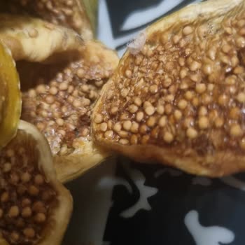 Kurtlu Ve Böcekli İncir Cipsi İle Sıvı Kıvamda Reçel Gıda Güvenliği İhlali