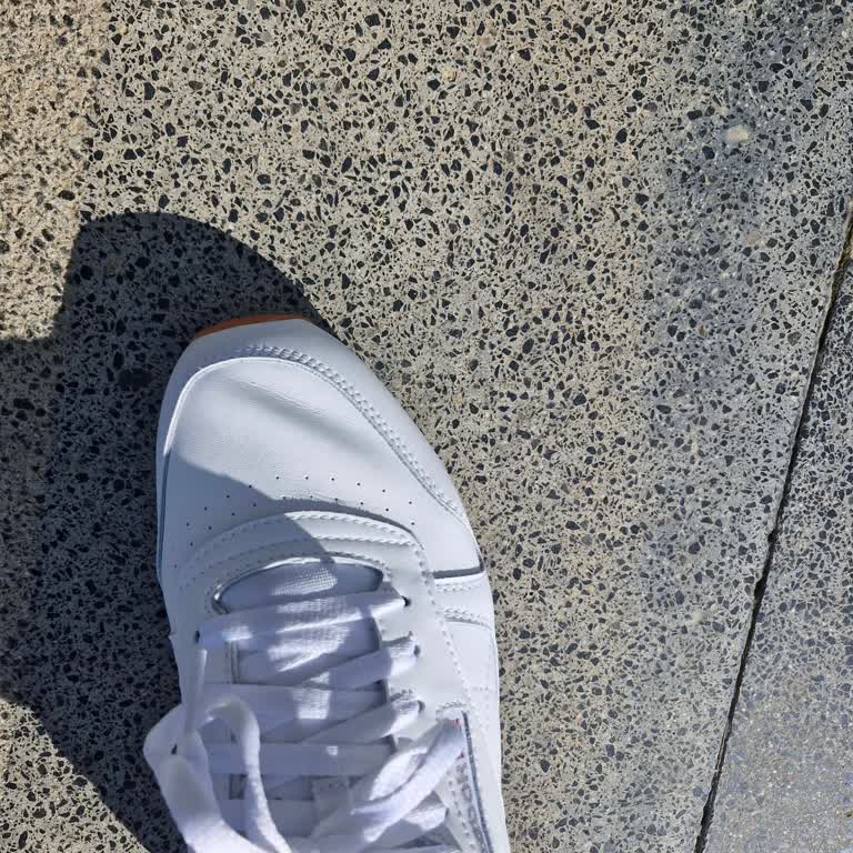 Kısa Sürede Kırılan Reebok Classic Ayakkabısı İçin Ücret İadesi Talebi