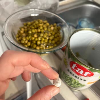 Tat Bezelye Konservelerinde Salyangoz Keşfi Marka Güvenini Sarsıyor