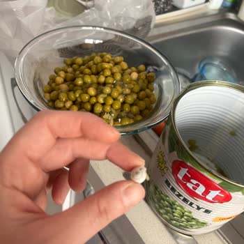 Tat Bezelye Konservelerinde Salyangoz Keşfi Marka Güvenini Sarsıyor