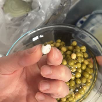 Tat Bezelye Konservelerinde Salyangoz Keşfi Marka Güvenini Sarsıyor