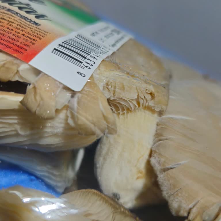 İnci İstiridye Mantarı Küflü Çıktı, Getir’in Yetersiz Yanıtı