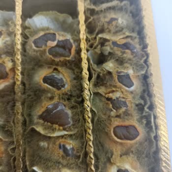 Kardelen Kestane Şekerleri Tüm Kestaneler Küflenmiş Çıktı