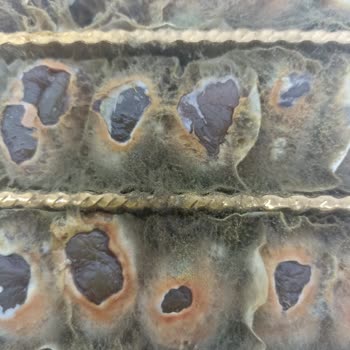 Kardelen Kestane Şekerleri Tüm Kestaneler Küflenmiş Çıktı